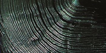 БИОБАЗИРАНО СУПЕРЛЕПИЛО БЕЗ ТОКСИЧНИ РАЗРЕДИТЕЛИ