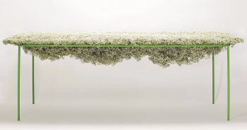 АКО МЕБЕЛИТЕ БЯХА ЖИВИ?