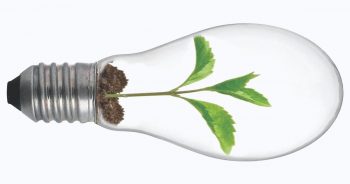 въглеродно неутрални