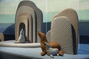 СКАЛИСТИТЕ БРЕГОВЕ НА ХОЛОН