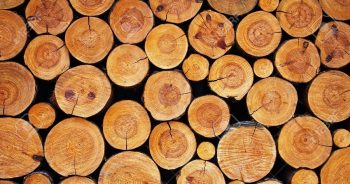 НЕЛЕГАЛНОТО НИКОГА НЕ Е БИЛО ЛЕГАЛНО