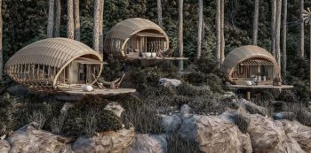 ORGANIC CABINS: УБЕЖИЩЕ ЗА ПРИРОДОЛЮБИТЕЛИ