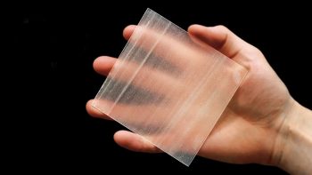 Ппрозрачна дървесина