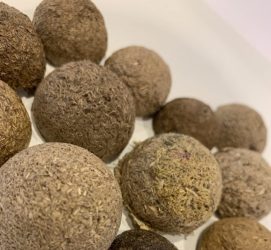 МАТЕРИАЛИ, СЪЗДАДЕНИ ОТ ПЛЕВЕЛИ