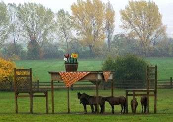ПРЕЕКСПОНИРАНИ МЕБЕЛИ