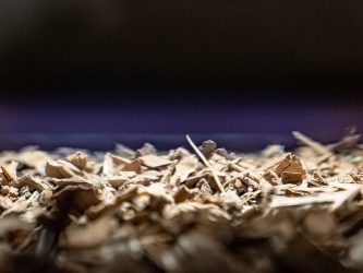 БЛИЗО 500 МЛН. ДРЪВЧЕТА СПАСЕНИ С ПОМОЩТА НА РЕЦИКЛИРАНЕ