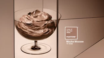 ЦВЕТЪТ НА PANTONE ЗА 2025 Е MOCHA MOUSSE