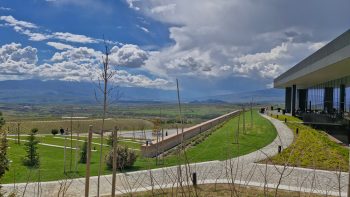 ИЗКУСТВО СРЕД ЛОЗЯТА: AYA ESTATE СТАРТИРА АМБИЦИОЗНА КУЛТУРНА ПРОГРАМА