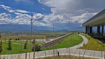 ИЗКУСТВО СРЕД ЛОЗЯТА: AYA ESTATE СТАРТИРА АМБИЦИОЗНА КУЛТУРНА ПРОГРАМА